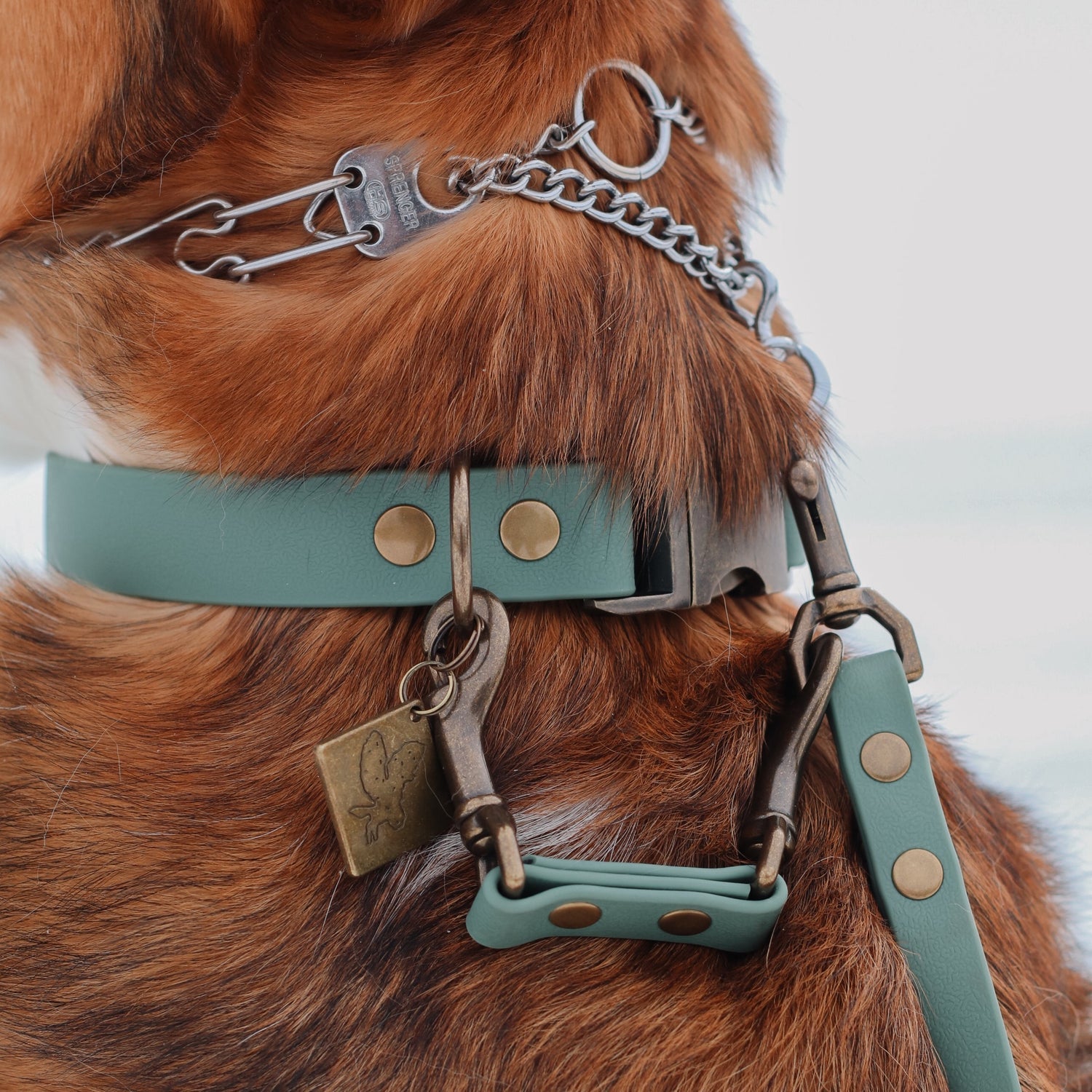 Prong Back Up Link - NEW SIZE