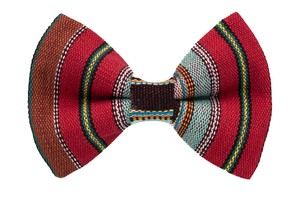 Baja Bow Tie